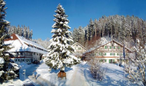 Отель Allgäu Hotel Hofgut Kürnach, Виггенсбах